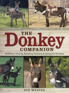 The Donkey Companion