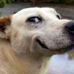 Profile picture of selma